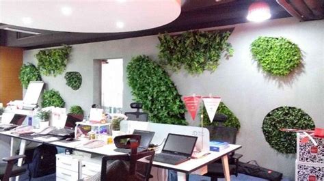 辦公室綠色植物 成大多大